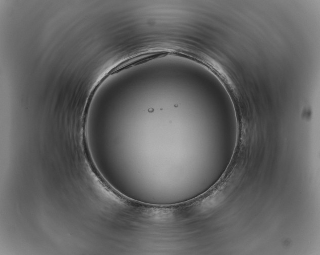 X0000090600802200707241042