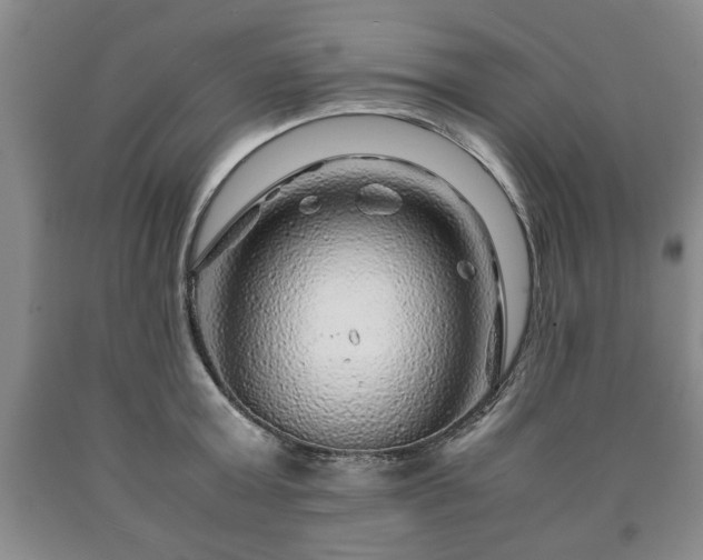 X0000090600803200707241042