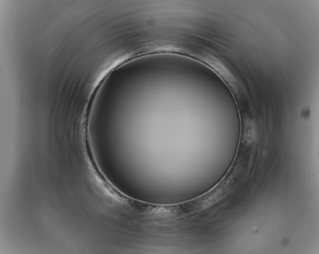 X0000090600806200707241042