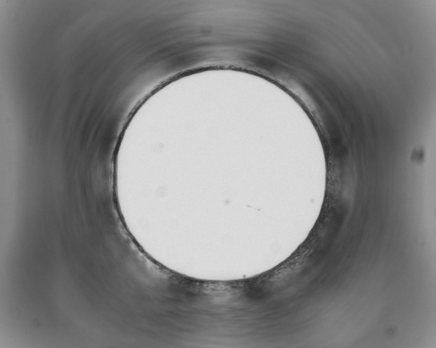 X0000090600807200707241042
