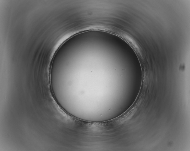 X0000090600808200707241042