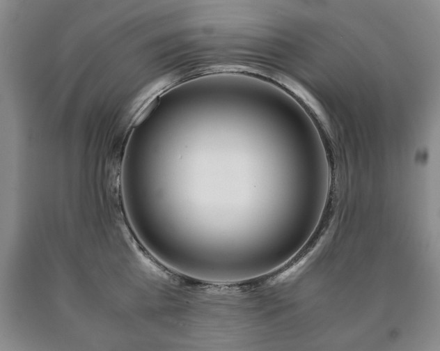 X0000090600809200707241042