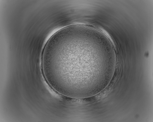 X0000090600811200707241042