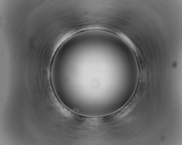 X0000090600813200707241042