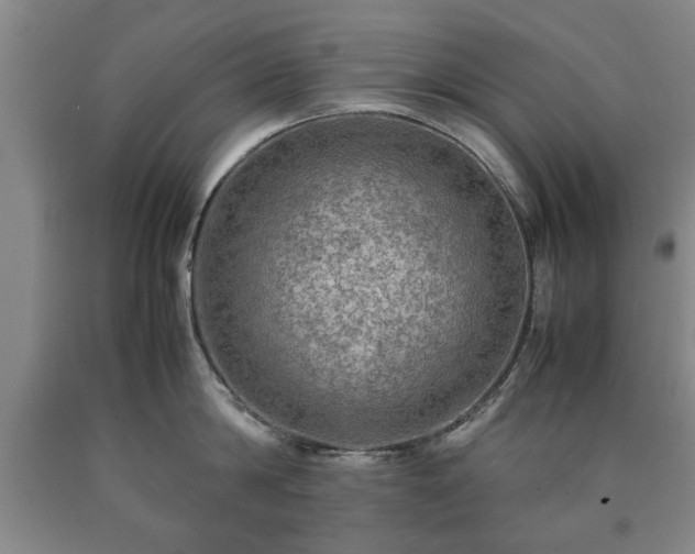 X0000090600814200707241042