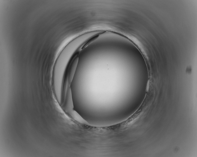 X0000090600815200707241042