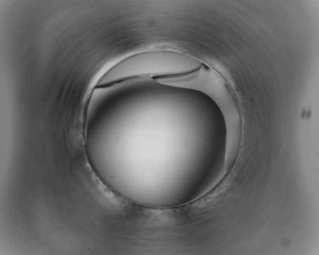X0000090600816200707241042
