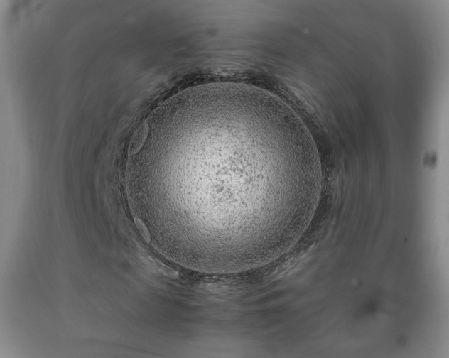 X0000090600817200707241041