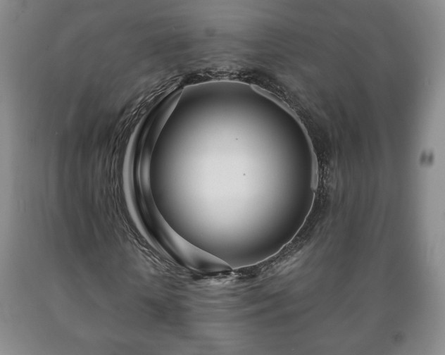 X0000090600818200707241041