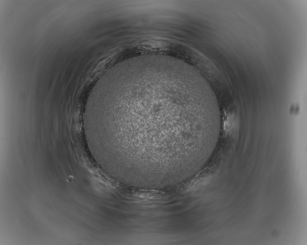 X0000090600819200707241041