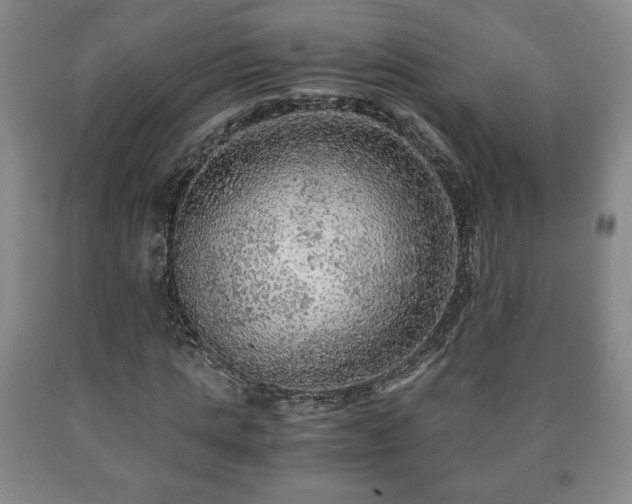 X0000090600821200707241041