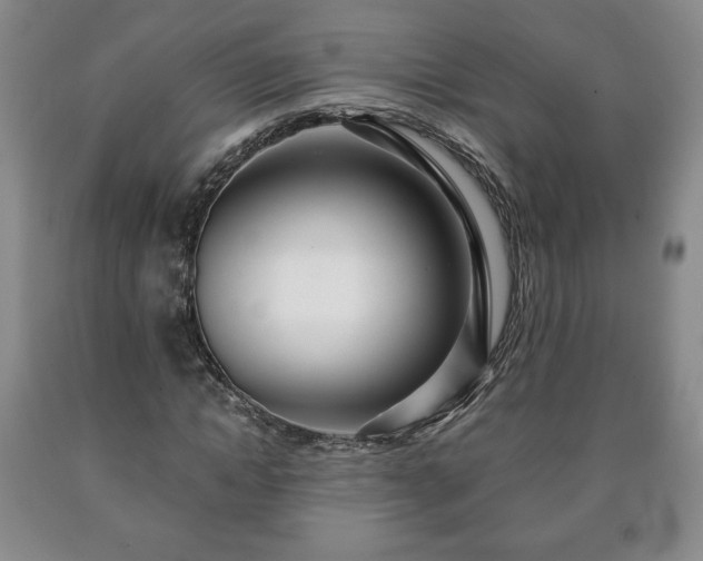 X0000090600822200707241041