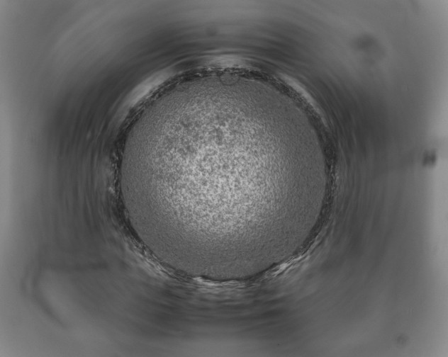 X0000090600823200707241041