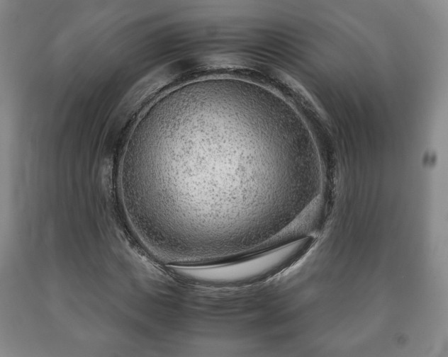 X0000090600825200707241041