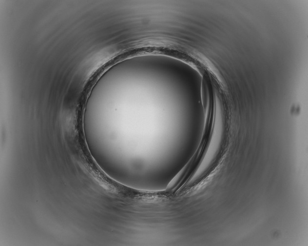 X0000090600826200707241041