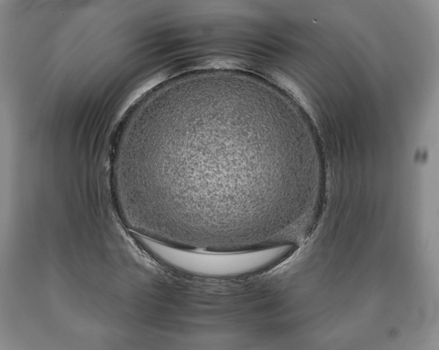 X0000090600827200707241041