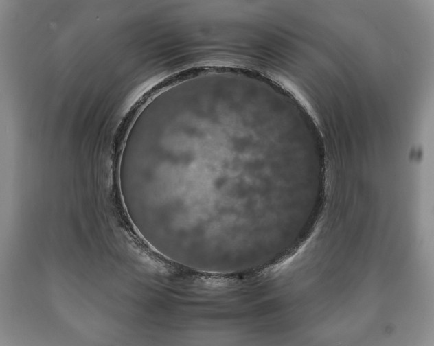 X0000090600829200707241041