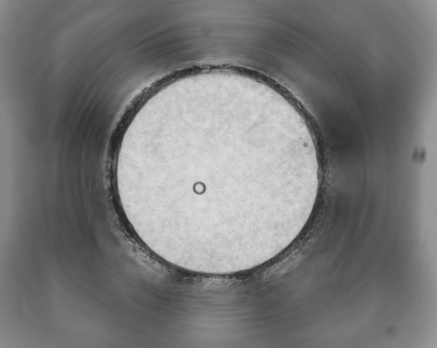 X0000090600832200707241041