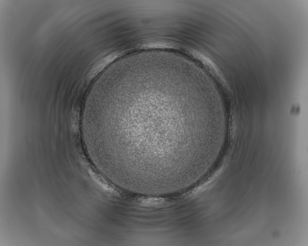 X0000090600833200707241041