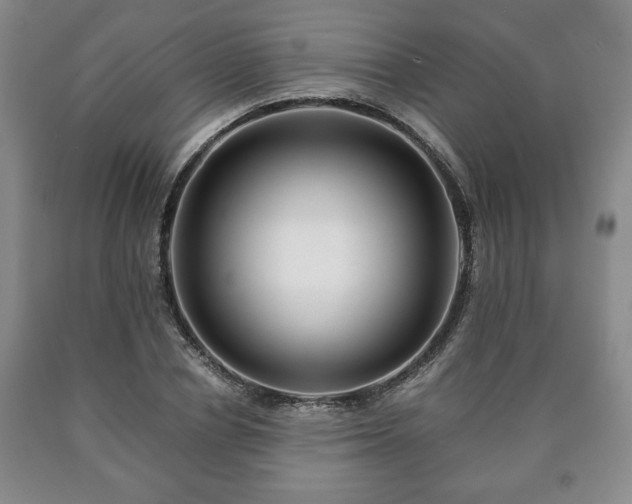 X0000090600834200707241041