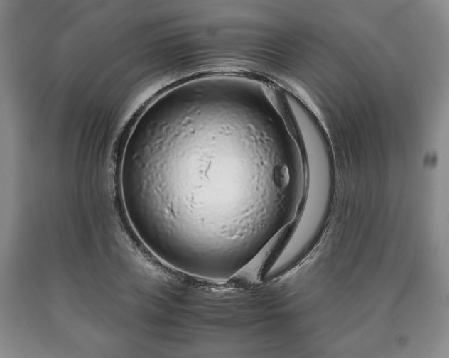 X0000090600835200707241042