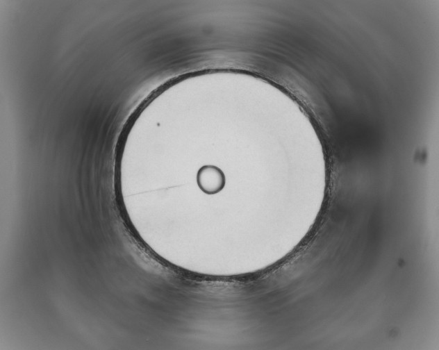 X0000090600836200707241042