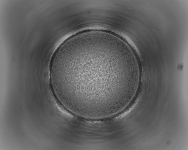 X0000090600837200707241042