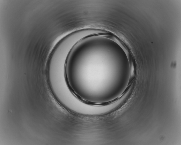X0000090600838200707241042
