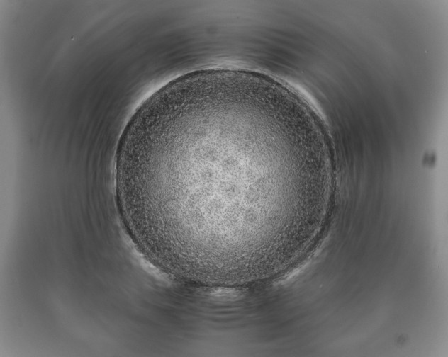 X0000090600839200707241042