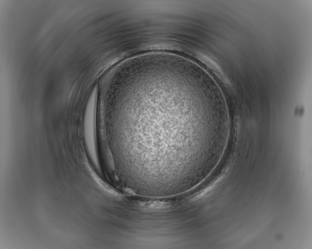 X0000090600841200707241042
