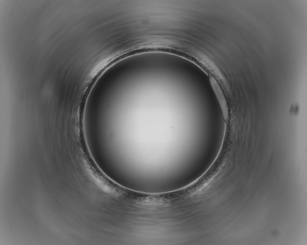 X0000090600842200707241042