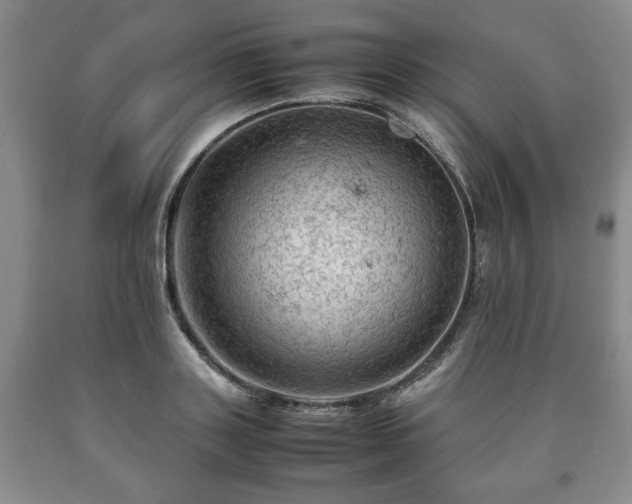 X0000090600843200707241042