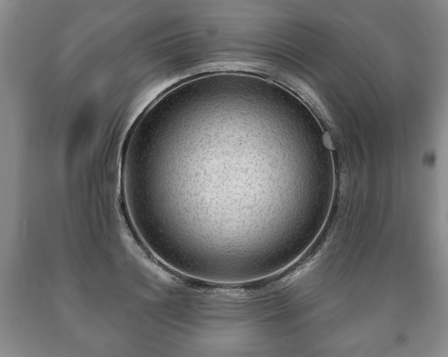X0000090600844200707241042