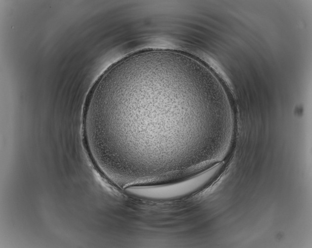 X0000090600845200707241042