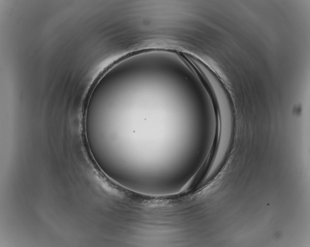 X0000090600846200707241042