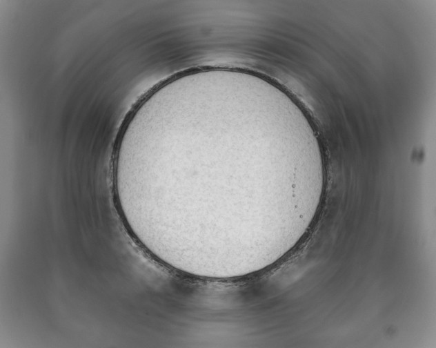 X0000090600848200707241042