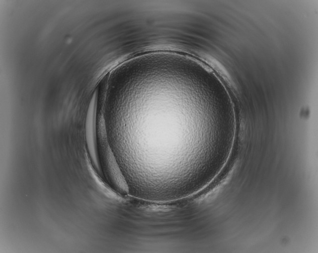 X0000090600849200707241042