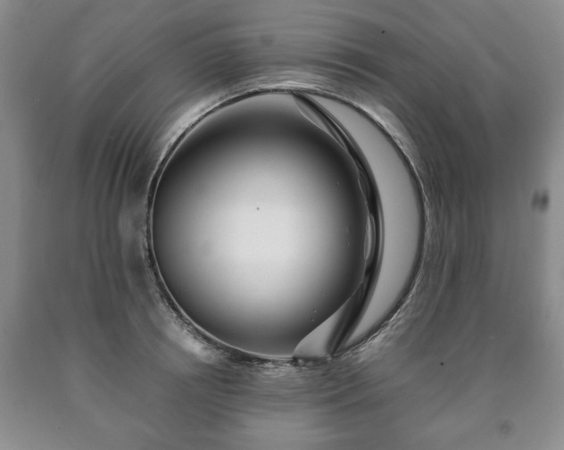 X0000090600850200707241042