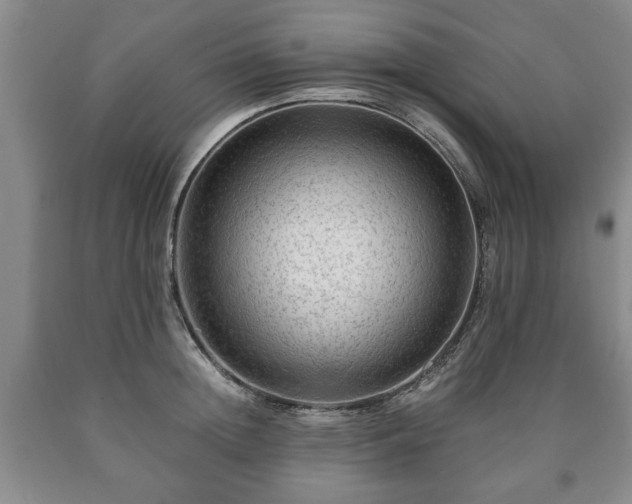 X0000090600852200707241042