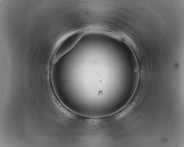 X0000090600854200707241042