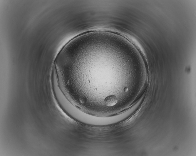 X0000090600855200707241042