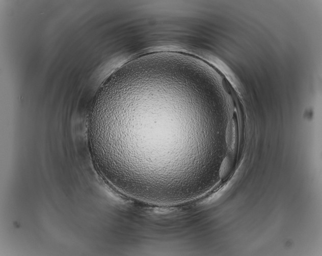 X0000090600857200707241042