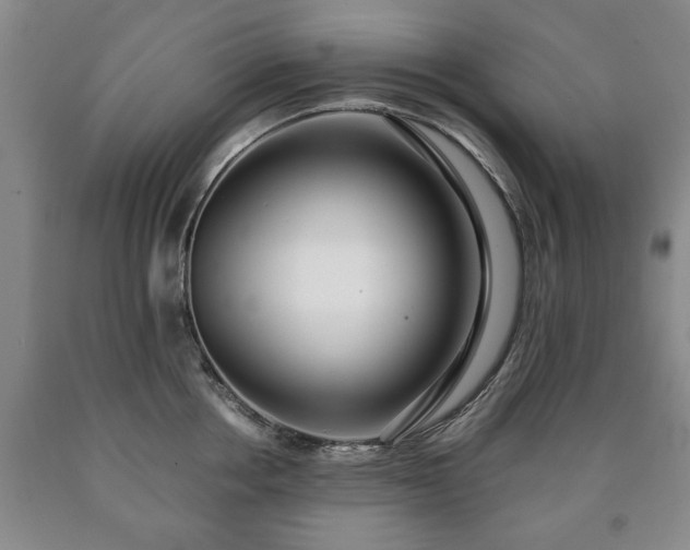 X0000090600858200707241042