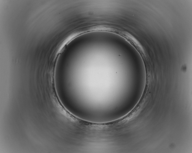 X0000090600860200707241042