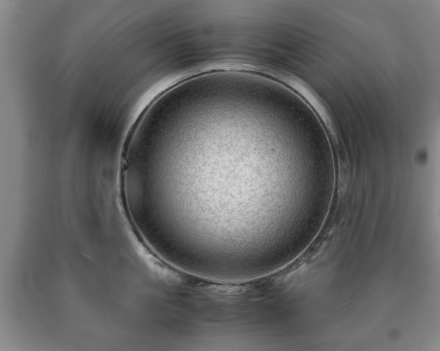 X0000090600861200707241042