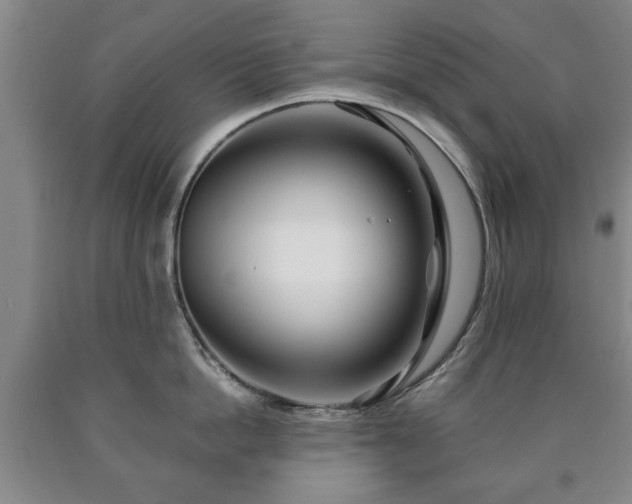 X0000090600862200707241042