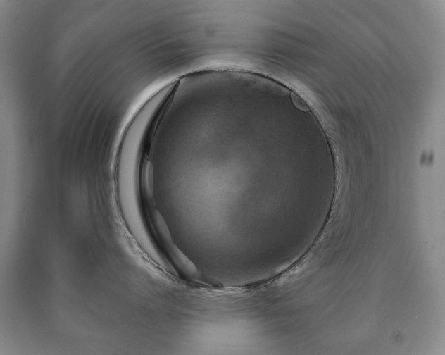 X0000090600864200707241042