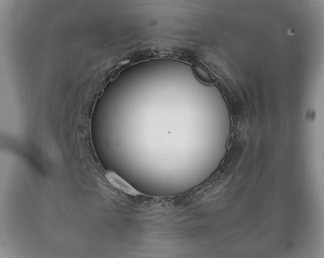 X0000090600865200707241041