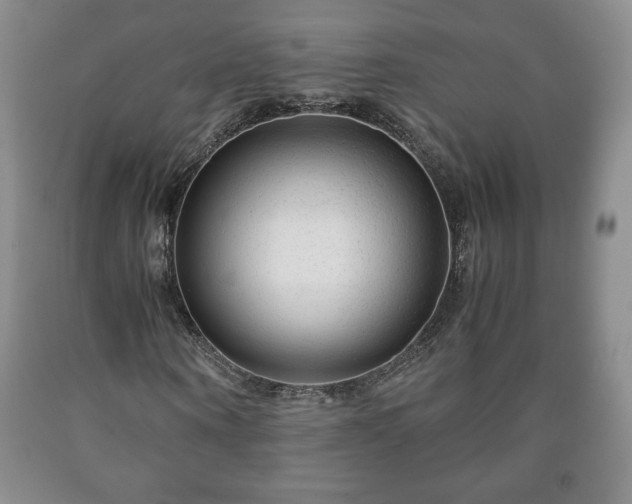 X0000090600866200707241041