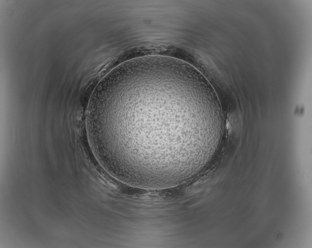 X0000090600867200707241041